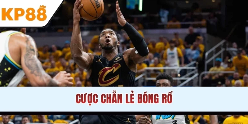 Cược chẵn lẻ bóng rổ