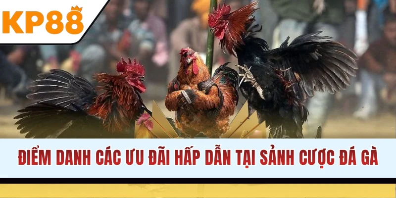 Điểm danh các ưu đãi hấp dẫn tại sảnh cược