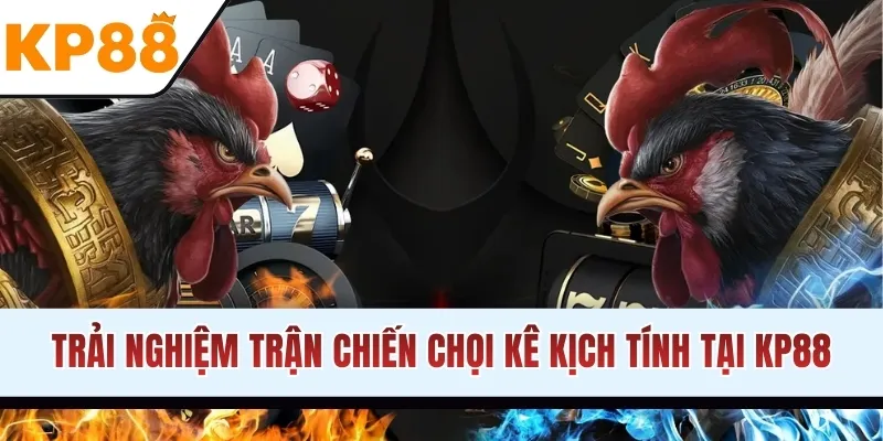 Trải nghiệm trận chiến chọi kê kịch tính tại KP88